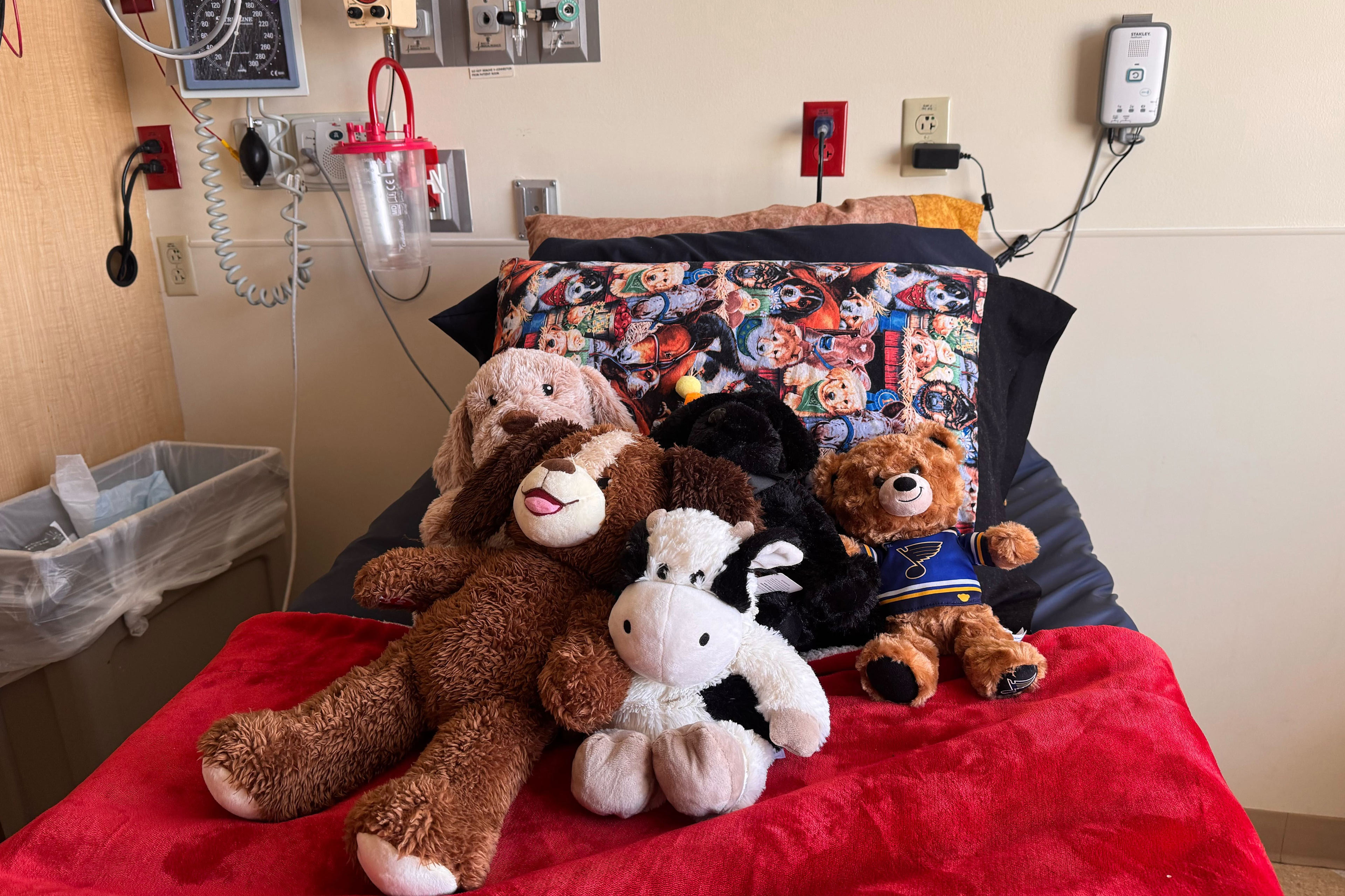 Georgia Behavioral Health Crisis Center and Student Support