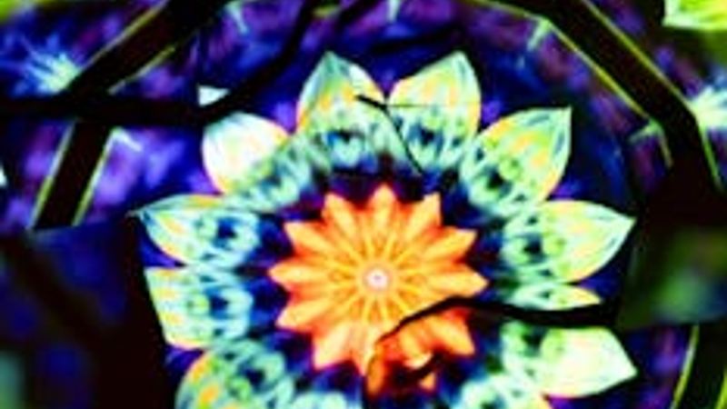 Your guide to Psychedelic-Assisted Therapy