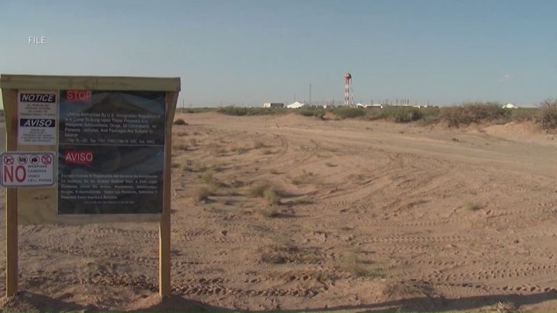 Texas launching ibogaine research program after failing to find drug company partner