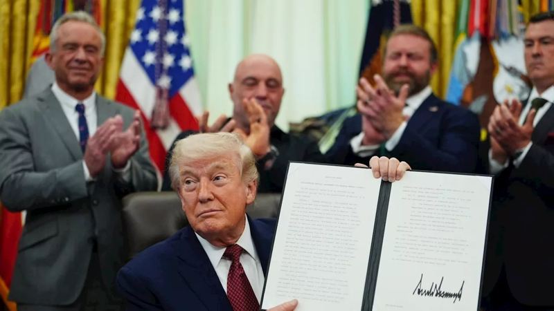 Trump Administration Accelerates Review of Psychedelic Therapies for Veterans