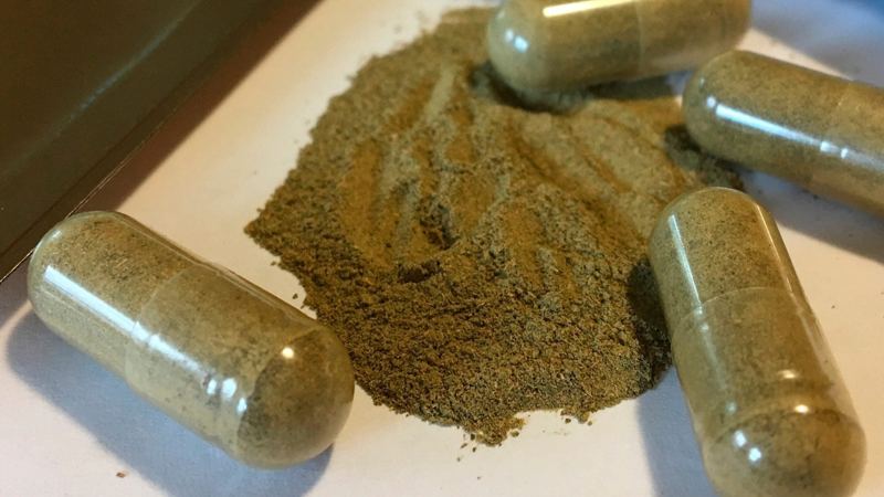 As kratom and 7-OH use grows, clinicians are developing protocols for addiction treatment