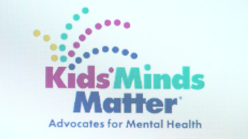 Initiative works to strengthen mental health services for kids across Southwest Florida