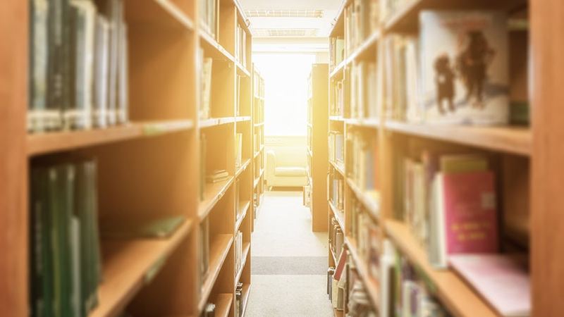 Interdisciplinary research at Georgia Southern shows striking trends in suicide risk among educators